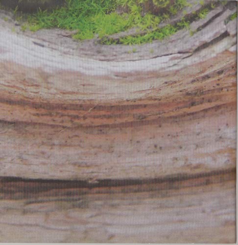 Miniature 5