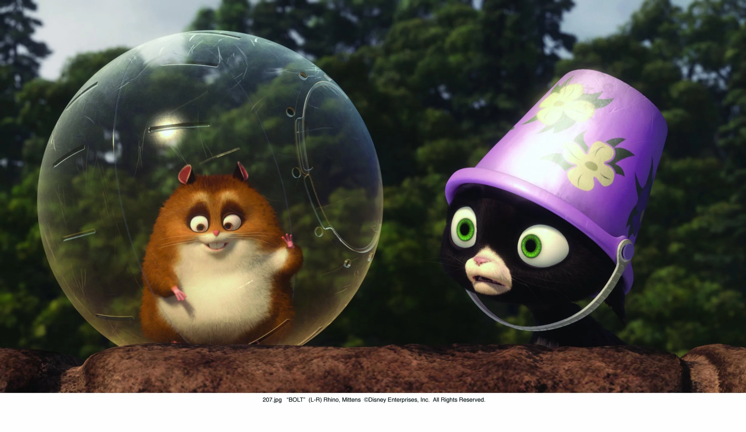 Miniature 7